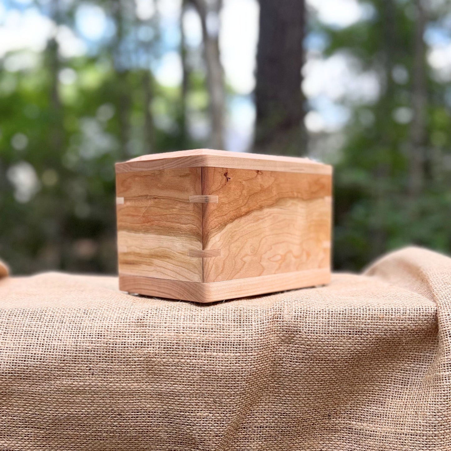 Custom Pet Urn - Cherry & Maple (Small Shown)