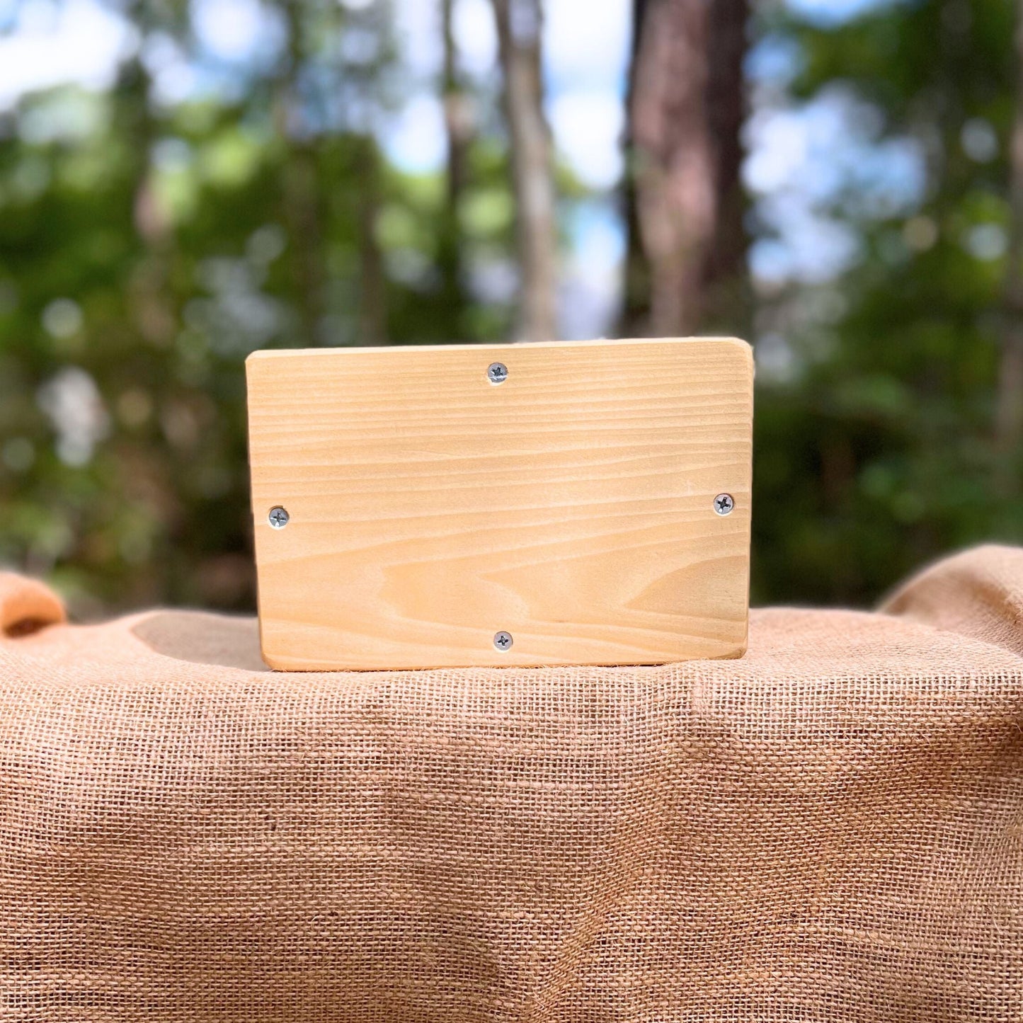 Custom Pet Urn - Poplar (Small Shown)