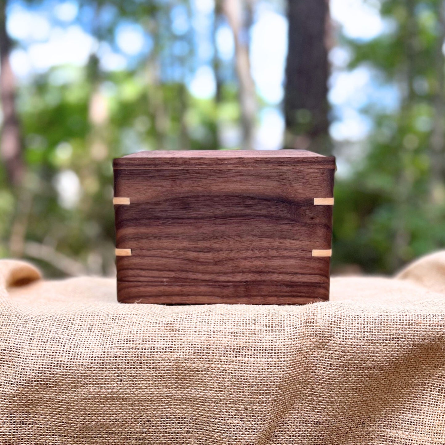 Custom Pet Urn - Walnut & Maple (Small Shown)