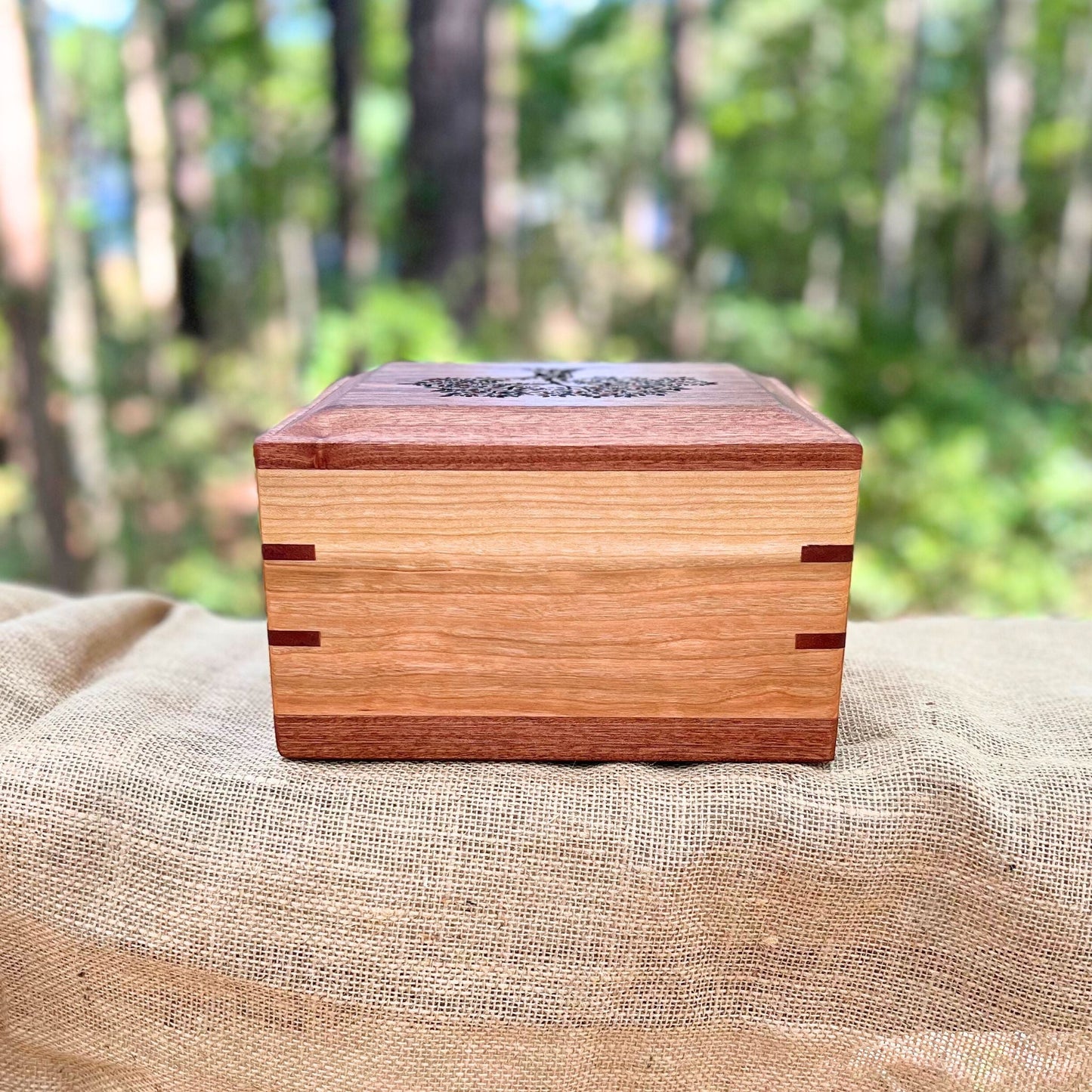 Sapele & Cherry Square Urn