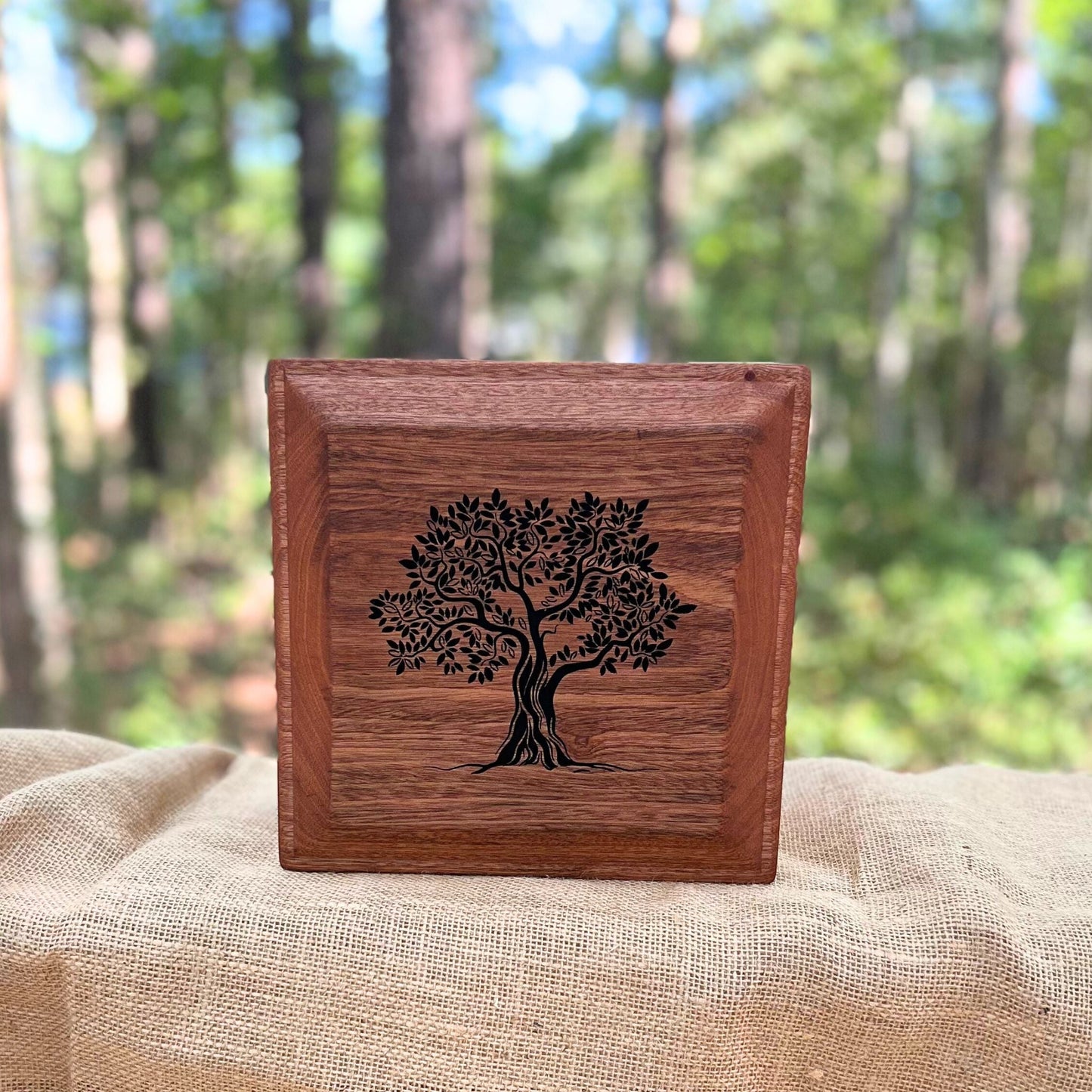 Sapele & Cherry Square Urn